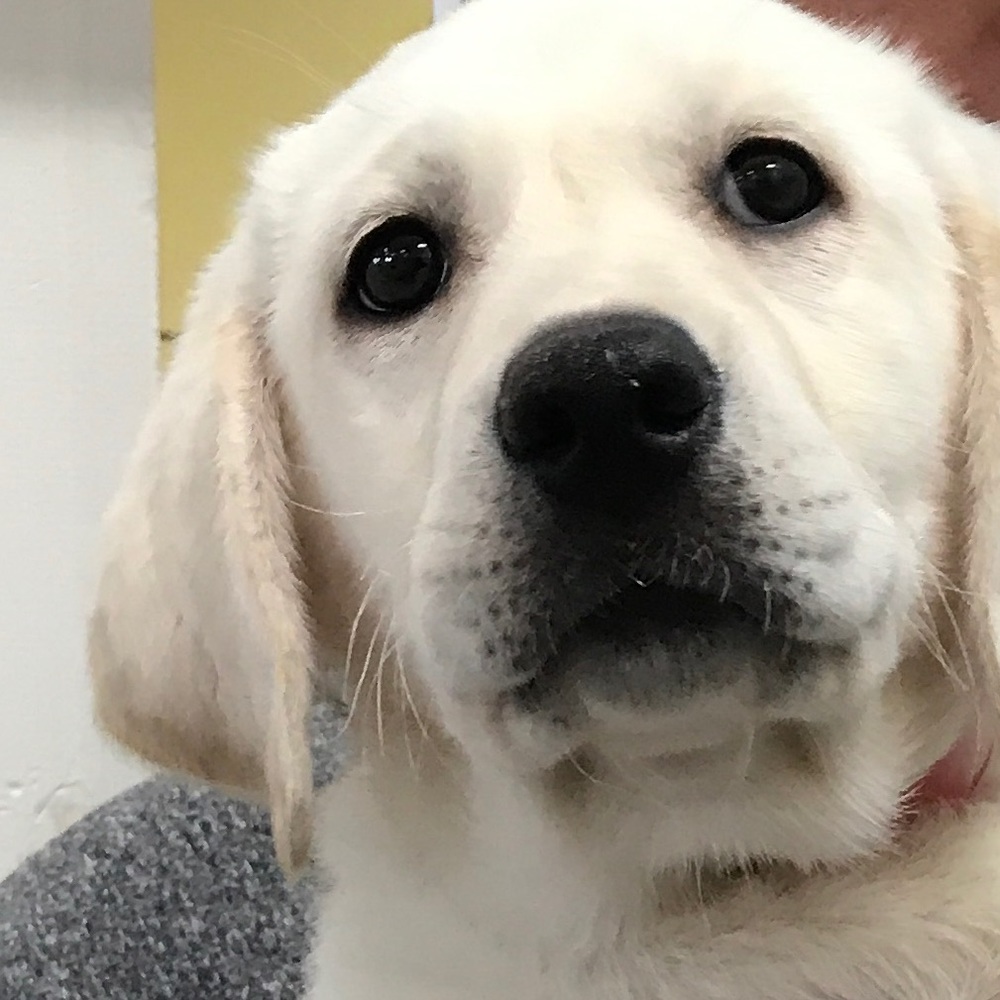 Meet your Posher, Mat